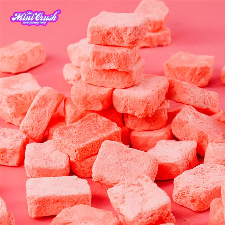 Freeze-Dried Strawberry Ice Cream factory